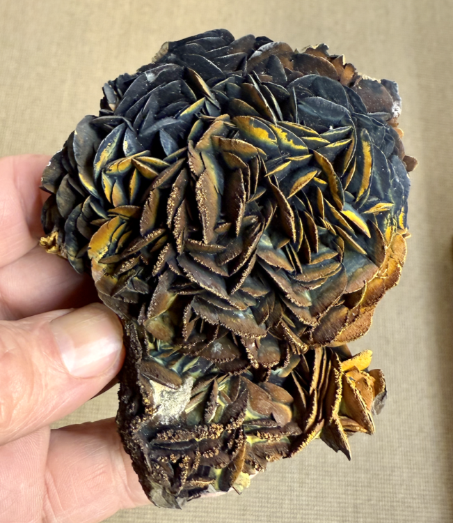 Capture d’écran 2025-11-29 à 23.59.02.png