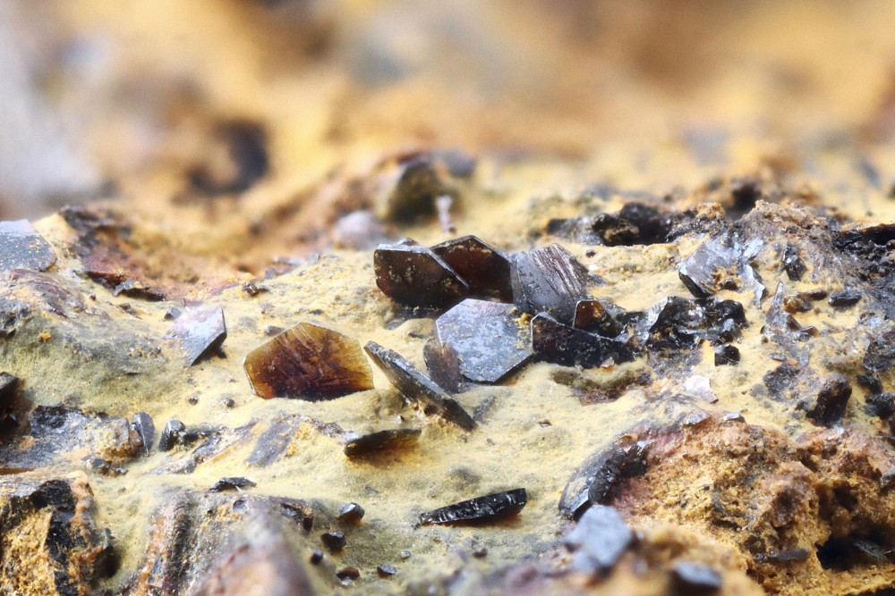 Descloizite la Caraventié FOV  5 mm 027.jpg