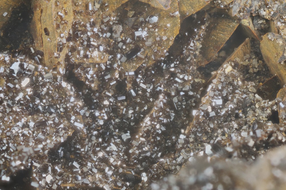 Descloizite la Caraventié FOV 6 mm 026.jpg