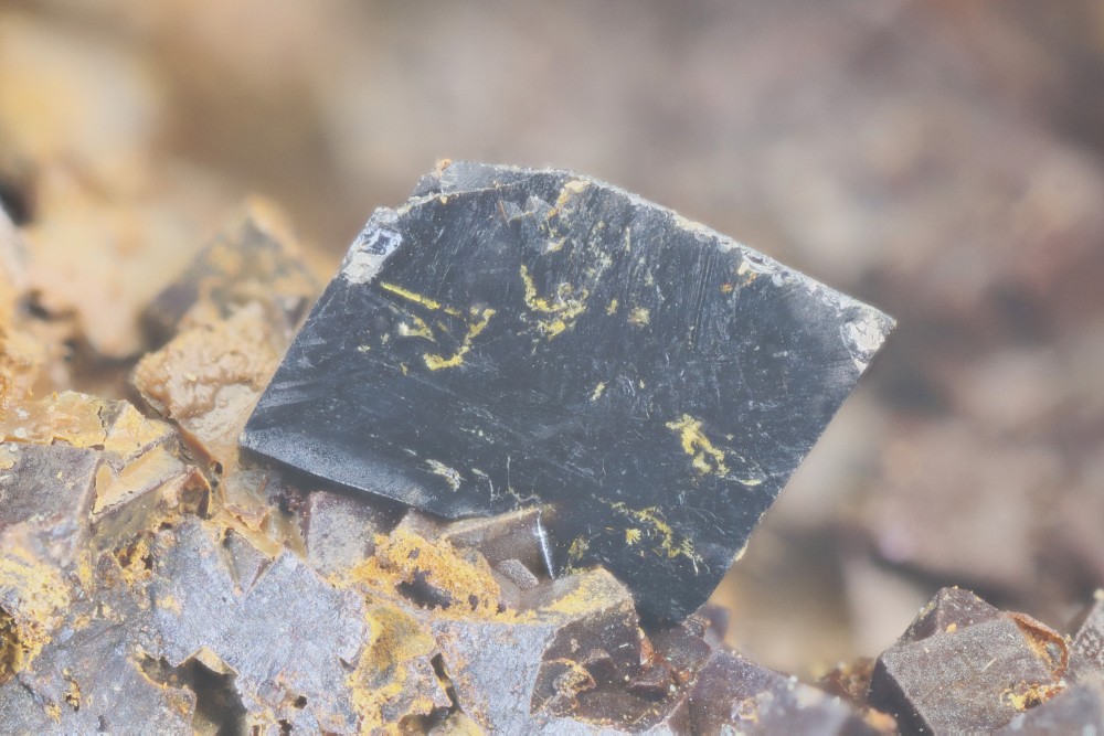 Descoizite la Caraventié FOV 6 mm 025.jpg