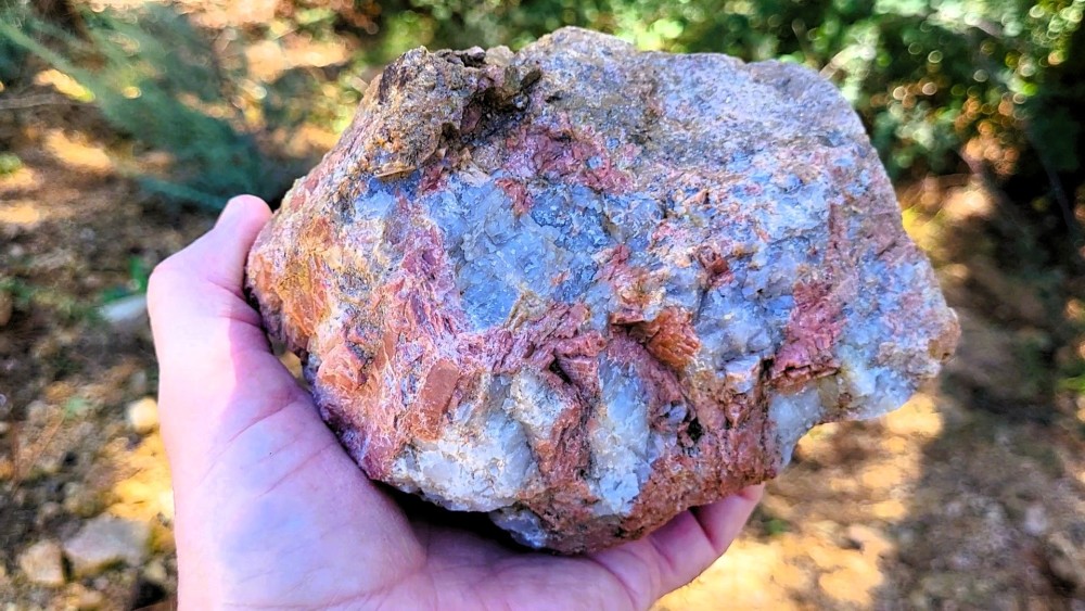 VERO - PHOTO (46).jpg