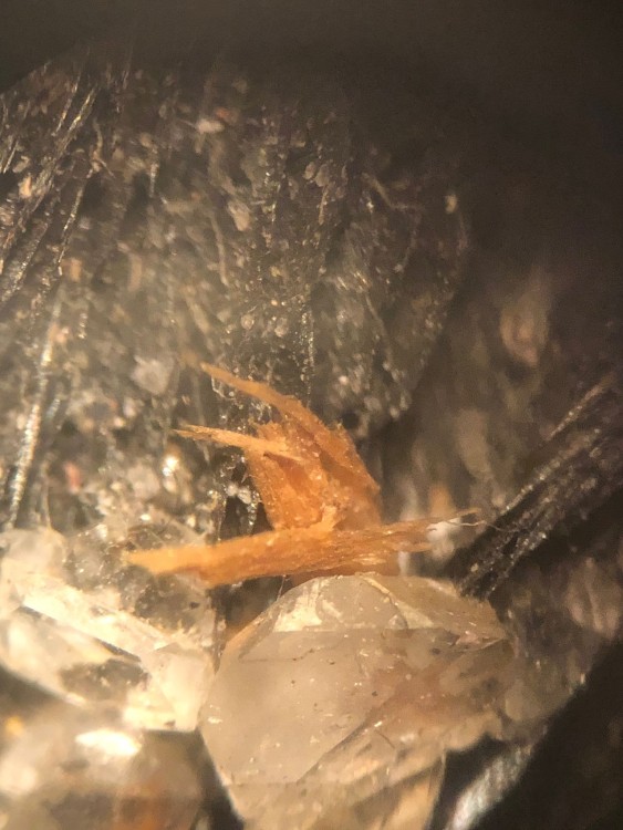 WhatsApp Image 2025-11-20 à 16.24.00_515f35d2.jpg