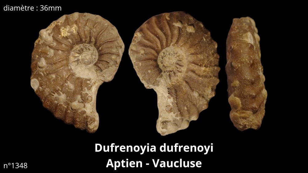 bte 003_20251114_215649_0000.jpg