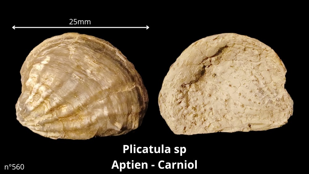 bte 013_20251114_215733_0000.jpg