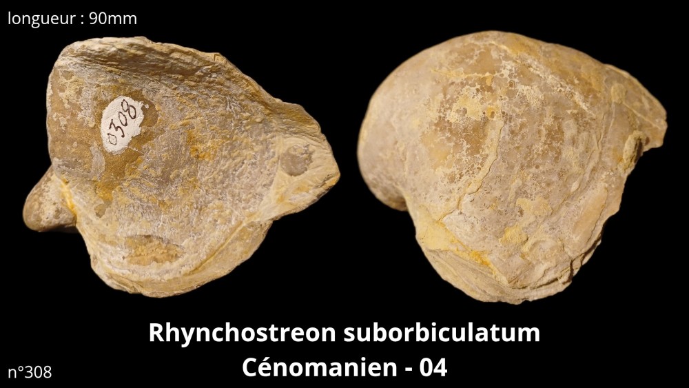 bte 045_20251119_185141_0000.jpg