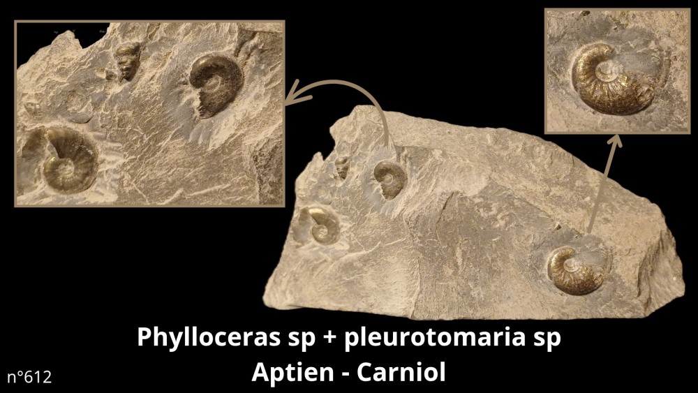 bte 049_20251114_215514_0000.jpg