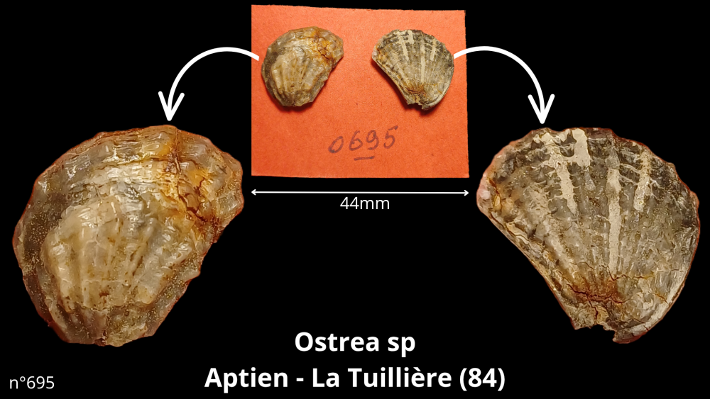 bte 073_20250815_163906_0011.png