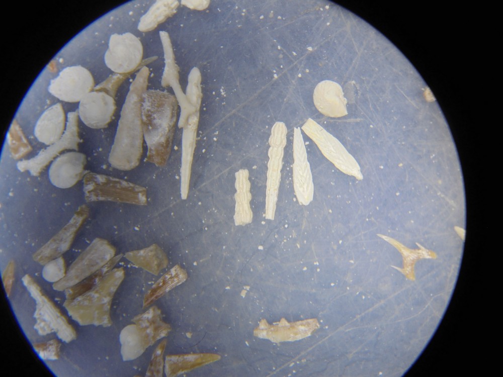 villers_devant_le_thour_ardennes (4).JPG