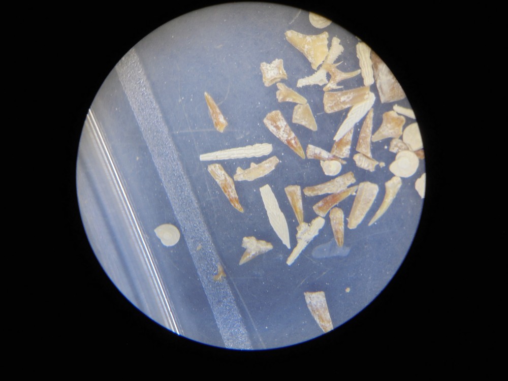 villers_devant_le_thour_ardennes (6).JPG