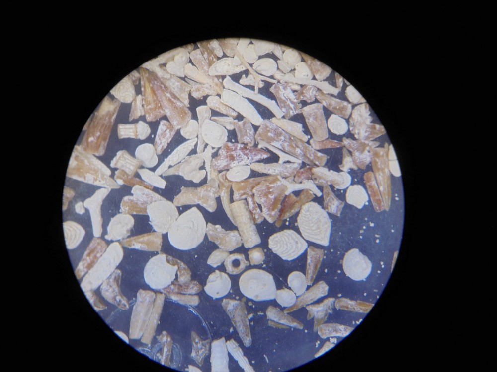 villers_devant_le_thour_ardennes (7).JPG