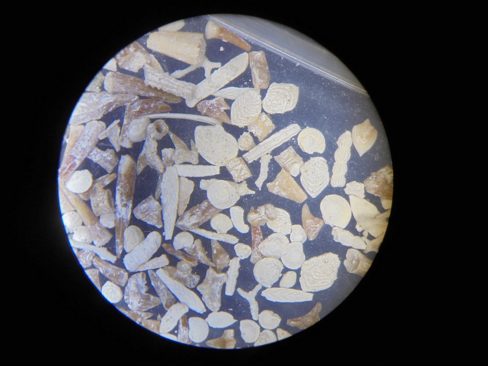 villers_devant_le_thour_ardennes (8).JPG