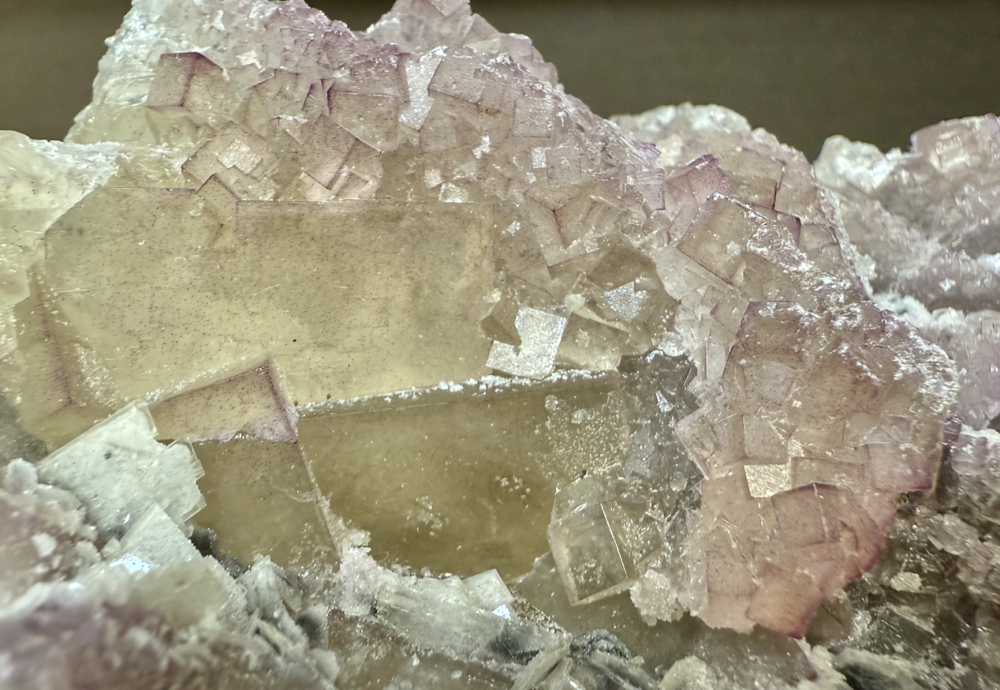 Capture d’écran 2025-12-11 à 15.55.52.png