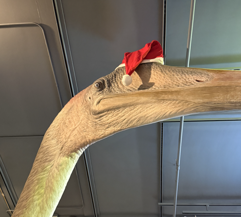 Capture d’écran 2025-12-22 à 21.46.16.png