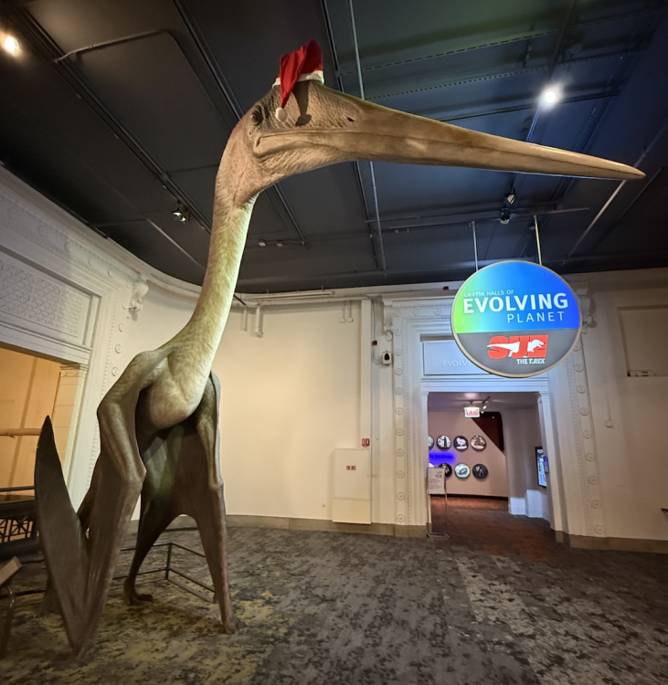 Capture d’écran 2025-12-22 à 21.46.30.png