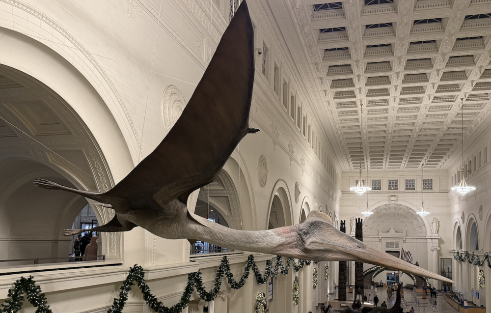 Capture d’écran 2025-12-22 à 21.48.09.png