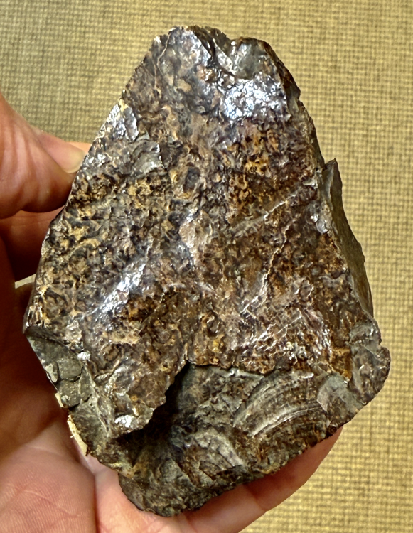 Capture d’écran 2025-12-23 à 14.03.56.png