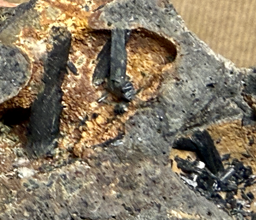 Capture d’écran 2025-12-24 à 22.47.02.png