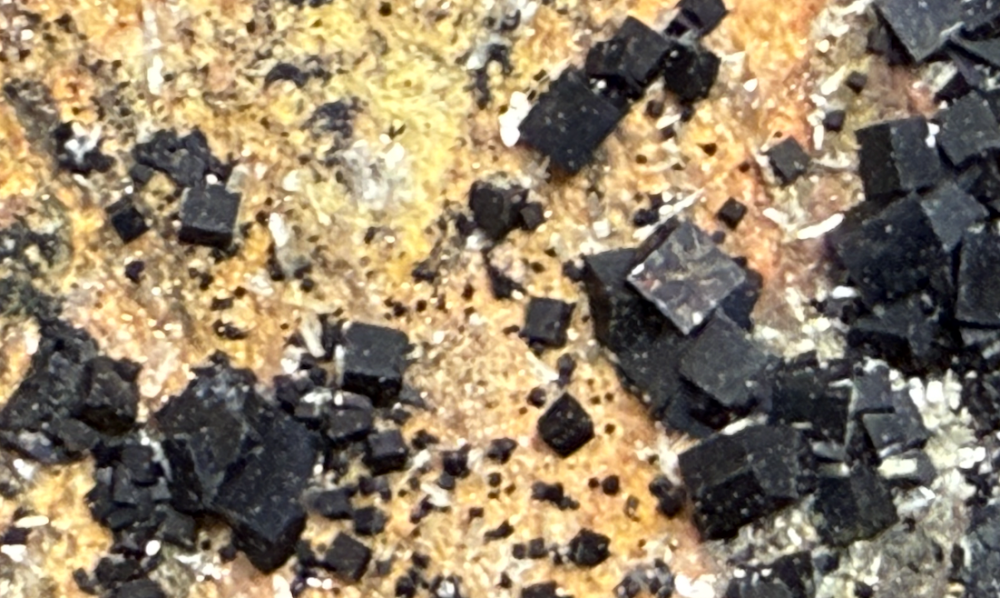 Capture d’écran 2025-12-29 à 10.37.07.png