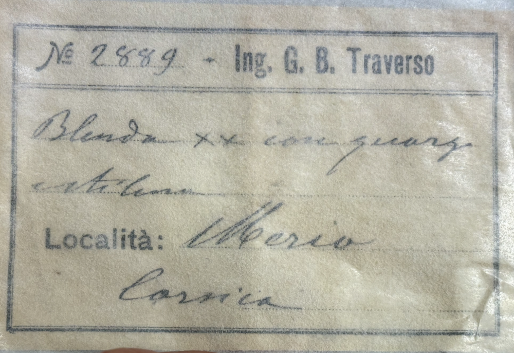 Capture d’écran 2025-12-29 à 10.49.32.png