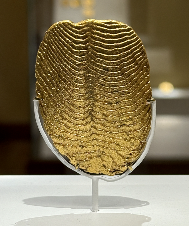 Capture d’écran 2025-12-29 à 11.21.23.png