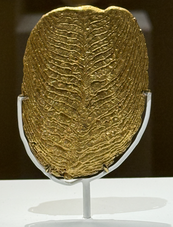 Capture d’écran 2025-12-29 à 11.21.39.png