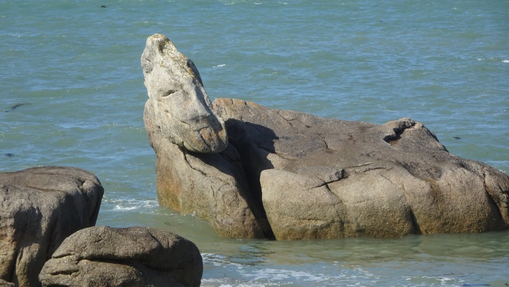 DSC04883l'hom qui dort.JPG