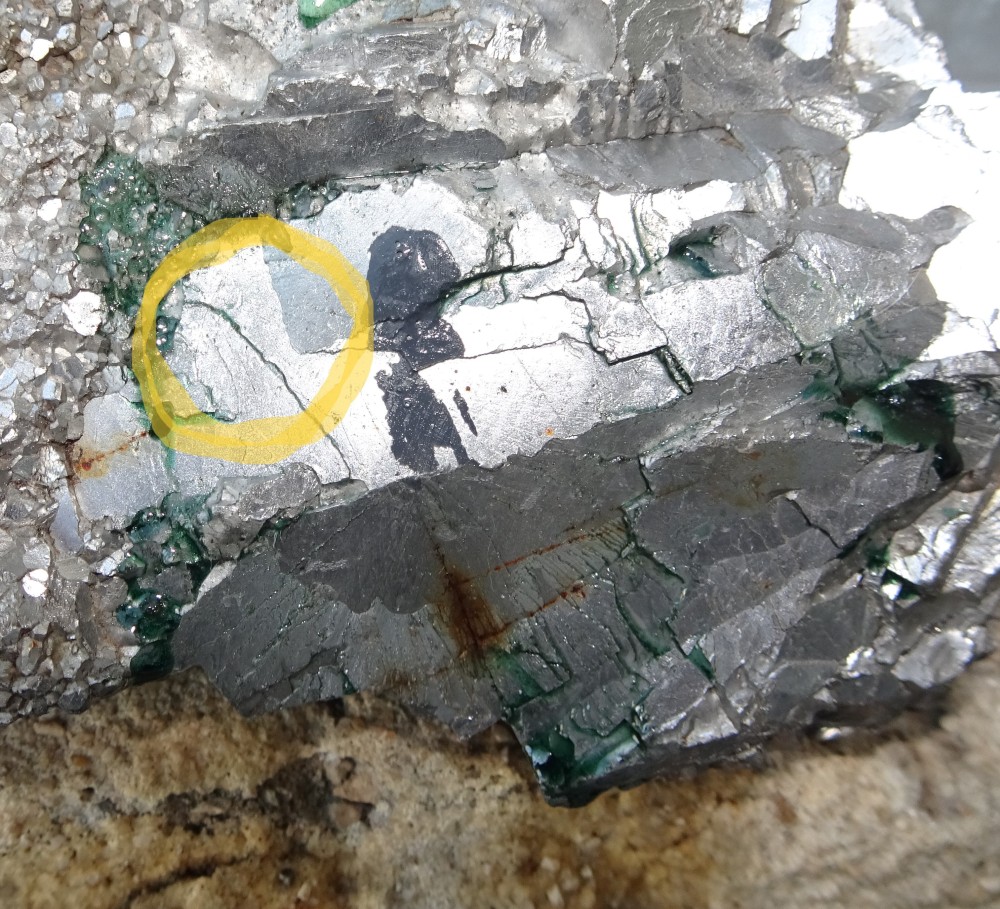 DSC06263 - Copie.JPG