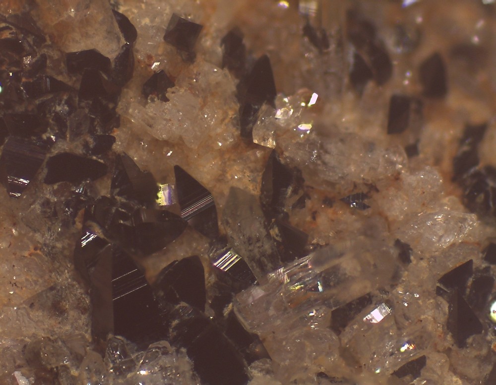 Jarrier2025 44x33 s20.jpg