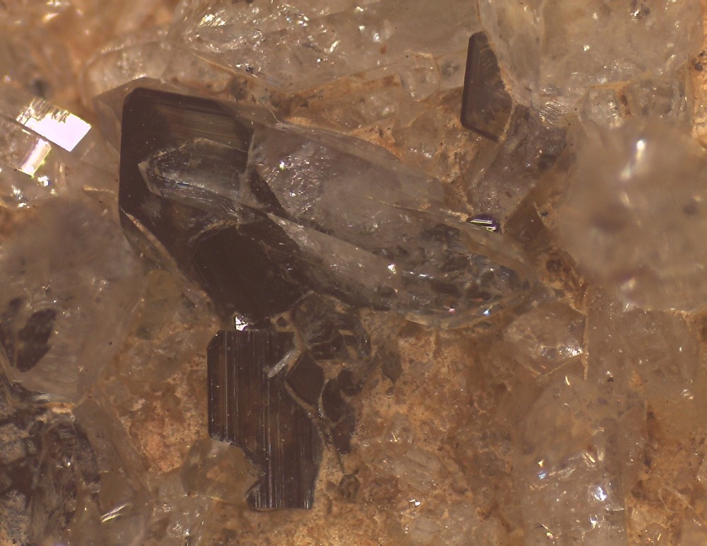 Jarrier2025 69x52 s12.jpg