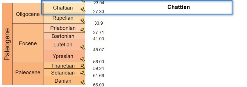 PaleogneChattien.jpg.5c594dcd06f480276beb33d0f1aee9f8.jpg