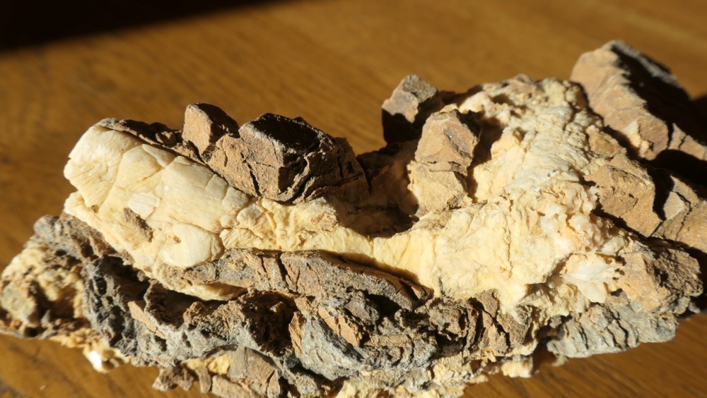 Roche à identifier-1.JPG