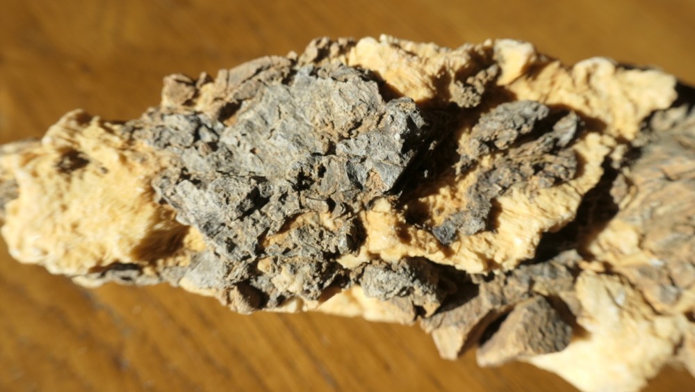 Roche à identifier-2.JPG