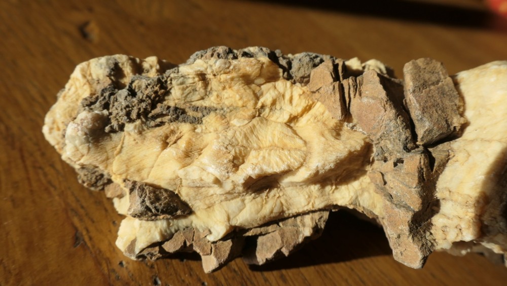 Roche à identifier-4.JPG