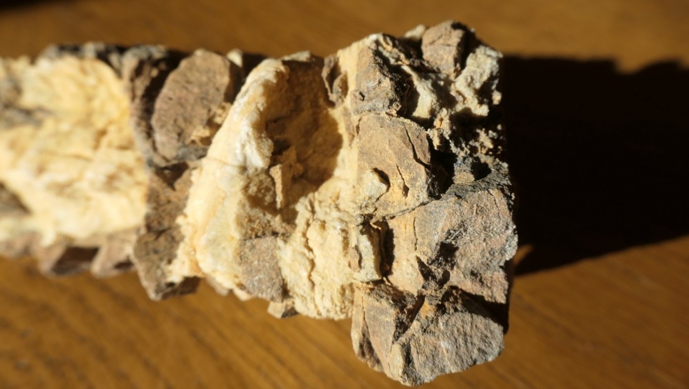 Roche à identifier-5.JPG