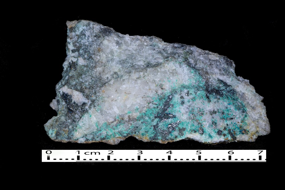 Roussignole5-230328 macro-5.JPG