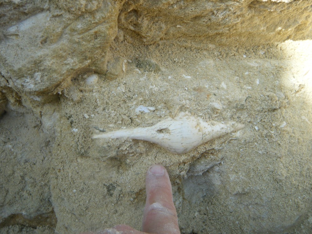 boury_en_vexin_08_09_2021 (15).JPG