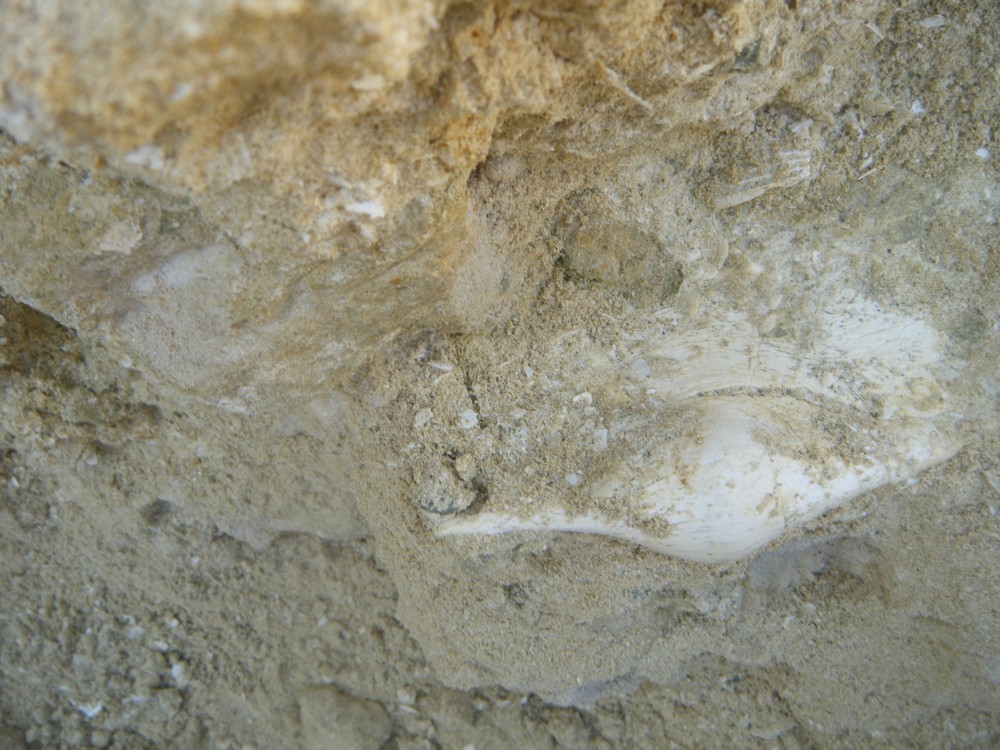 boury_en_vexin_08_09_2021 (17).JPG