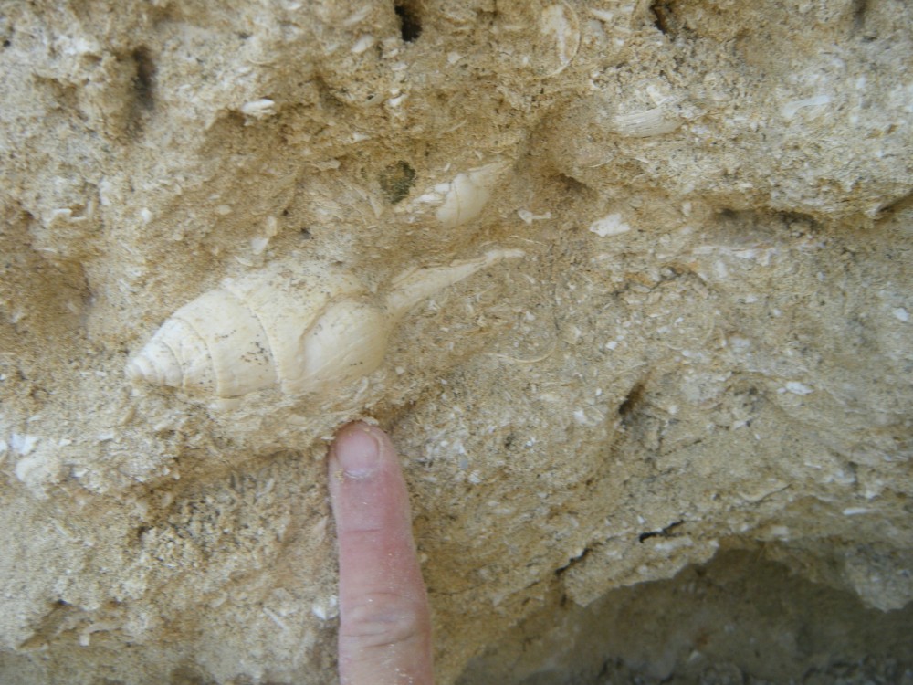 boury_en_vexin_6_09_2021 (30).JPG