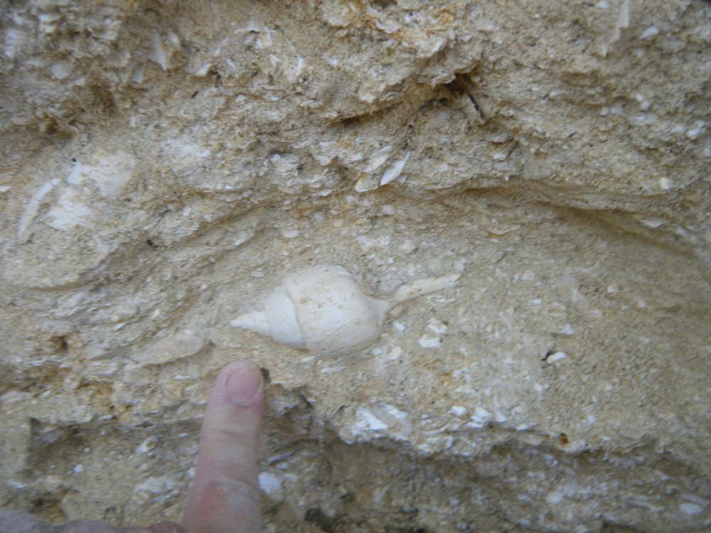 boury_en_vexin_6_09_2021 (47).JPG