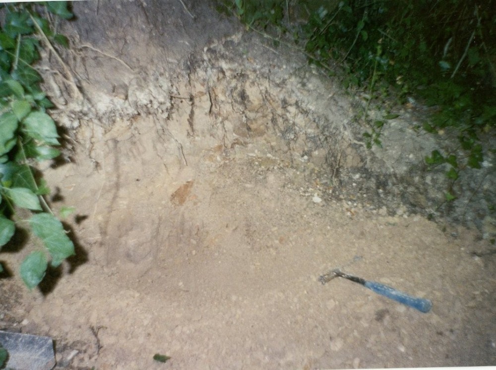 couche a vertebres 06 2000.jpg