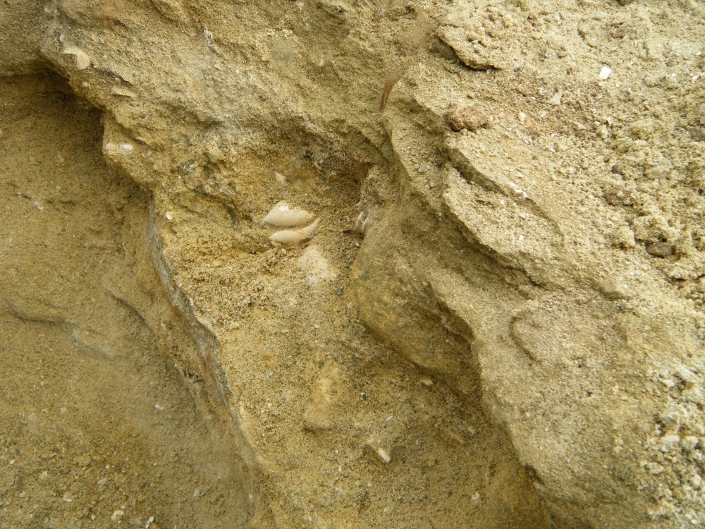 darcy_15_09_2010 (92).JPG