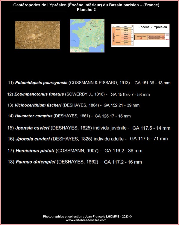 pl_gasteropode_pourcy2_b_legendes.jpg