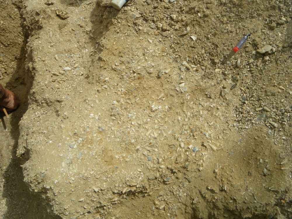 pourcy_in_situ (1).JPG