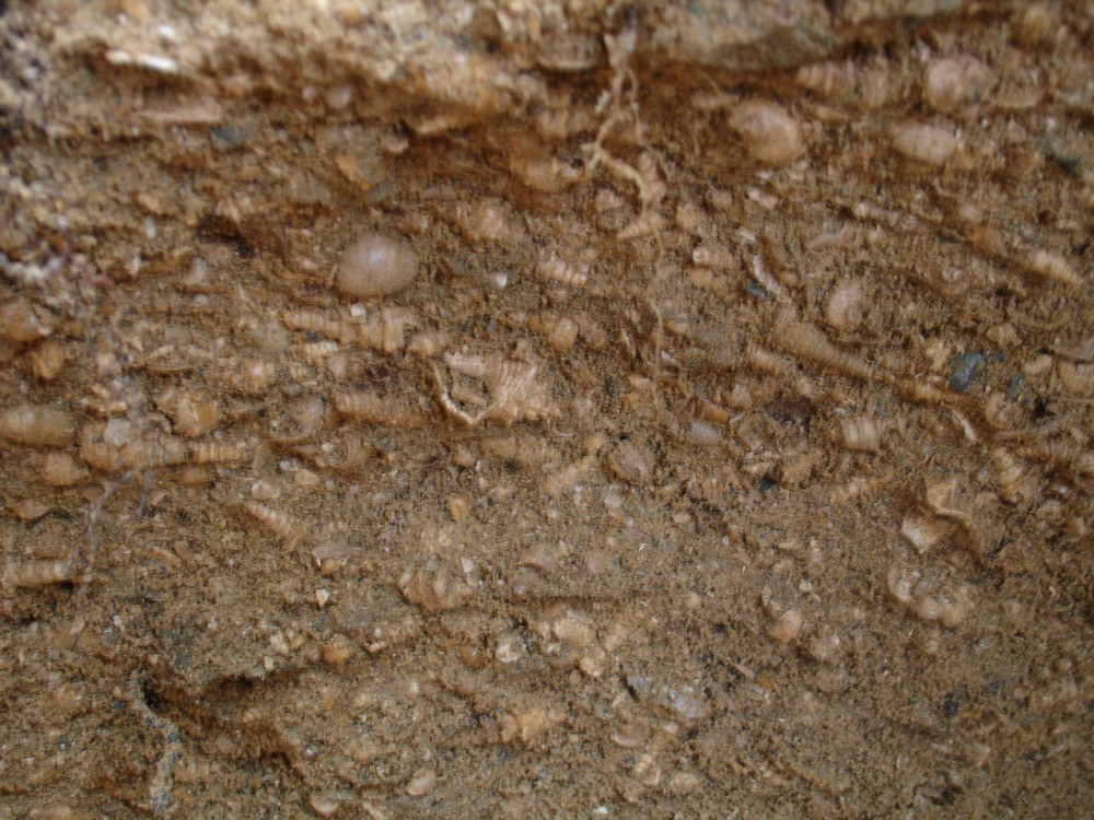 pourcy_in_situ (8).JPG