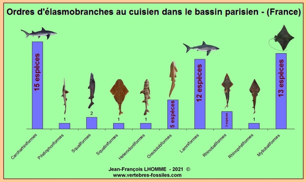 requins_cuisien.thumb.jpg.489b6e4dc97164b8b6342cac2c6756cc.jpg
