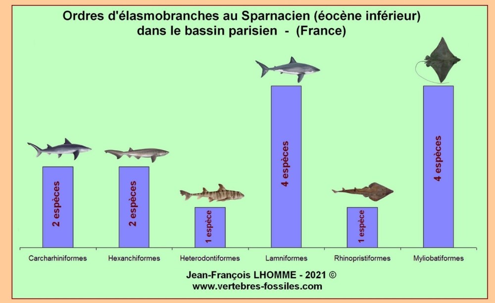requins_sparnacien.thumb.jpg.080a7d7d1a220f7961e7f0fb1e68a494.jpg
