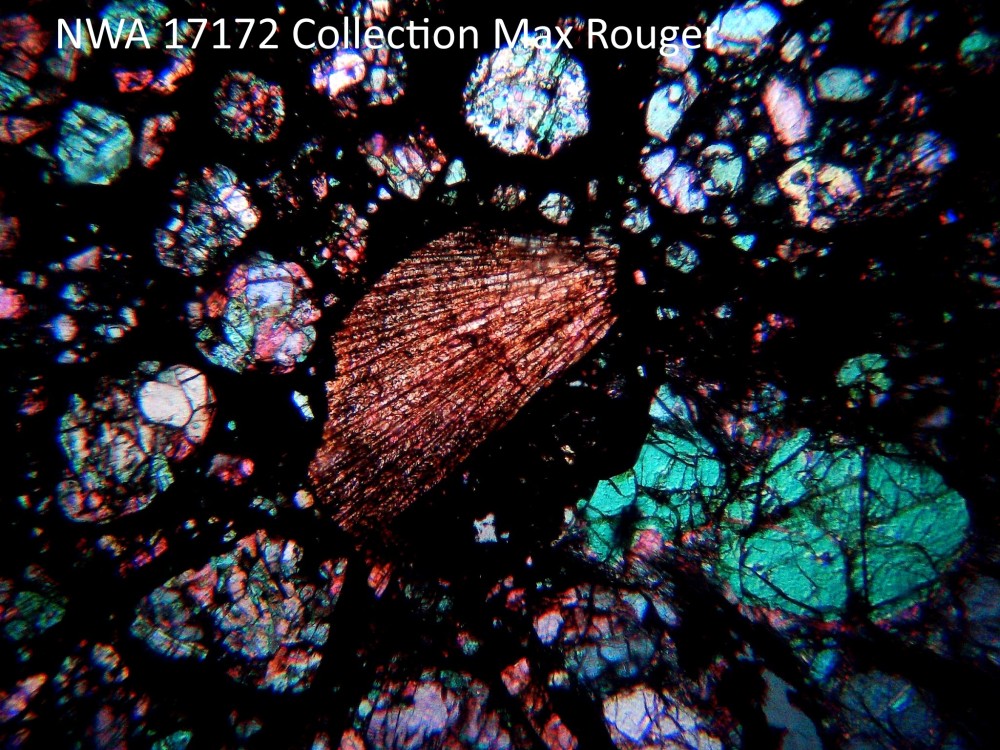 20251204_image (7).jpg