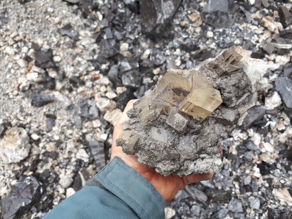 30-10-2022 (24) -.jpg