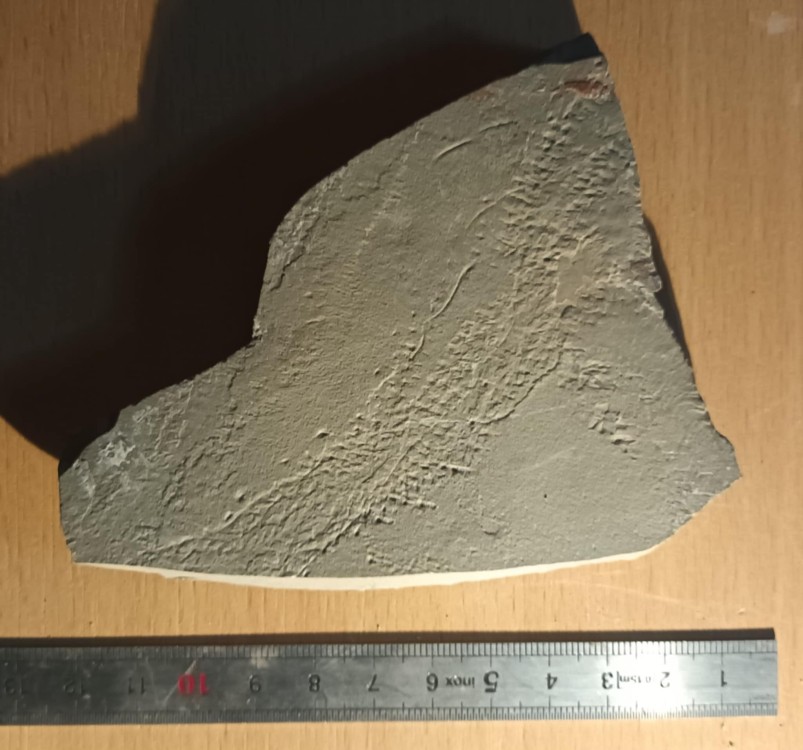 635f9a0e-a87f-4dfc-86b3-5aa0d2a8c3fc - Copie.jpg