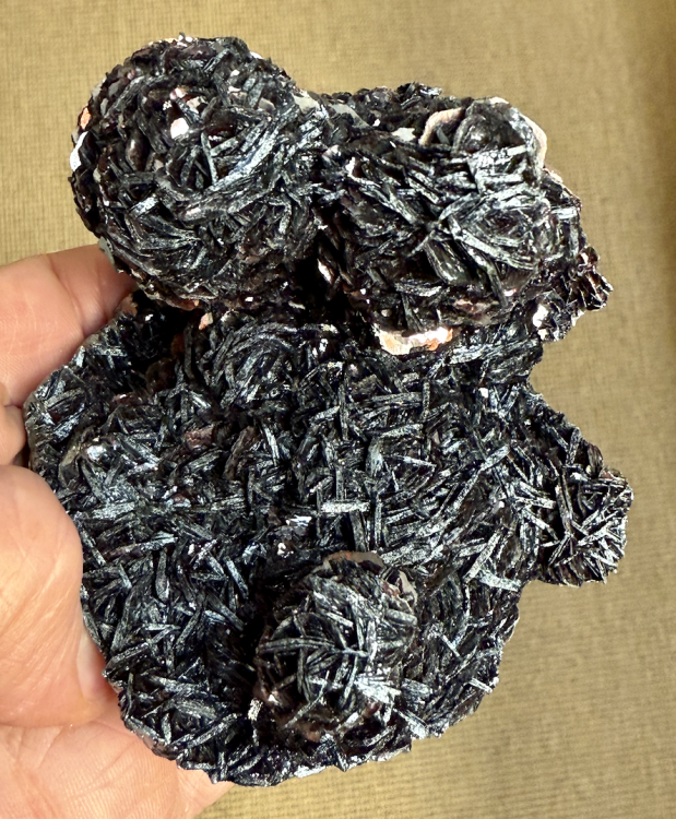 Capture d’écran 2026-01-09 à 00.30.43.png